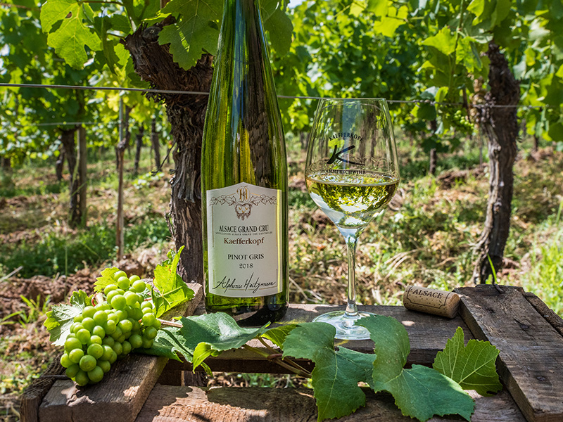 Vins d'Alsace crémant grand cru kaefferkopf Colmar : Alsace grand Cru